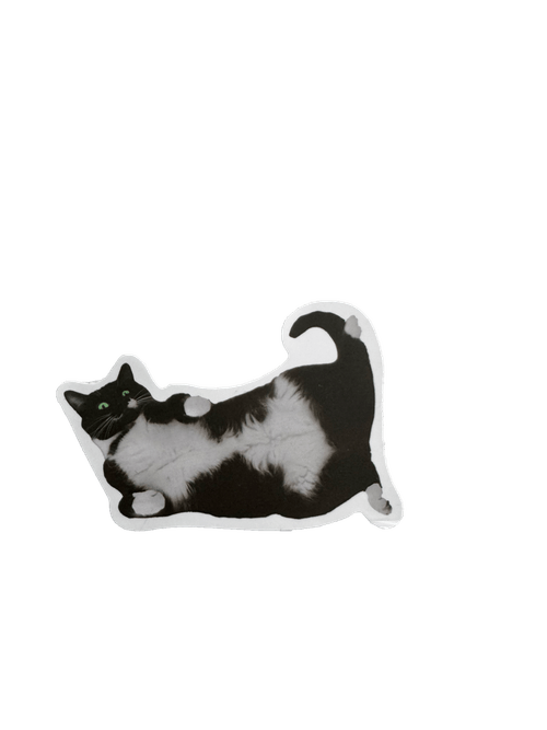 Cat sticker